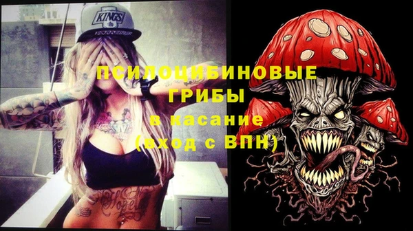 бошки Алзамай