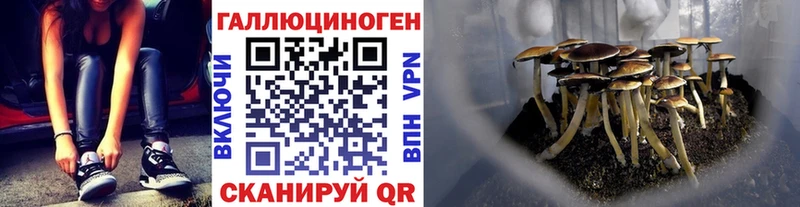 Псилоцибиновые грибы Psilocybe  Бокситогорск 